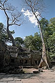 Ta Prohm temple - the imposing eastern gopura of the fourth enclosure 